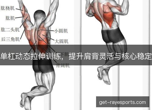 单杠动态拉伸训练,提升肩背灵活与核心稳定 单杠动态拉伸训练,提升肩背灵活与核心稳定